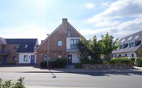 Dünenrose